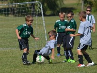 09.14.2013 JOM SC U8 White North - TElmhurst Premier White 10-1 (7)_784x600